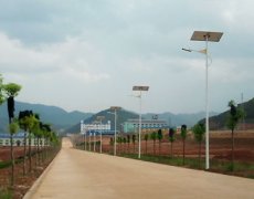 Las luces Solar Street tienen ventajas obvias.